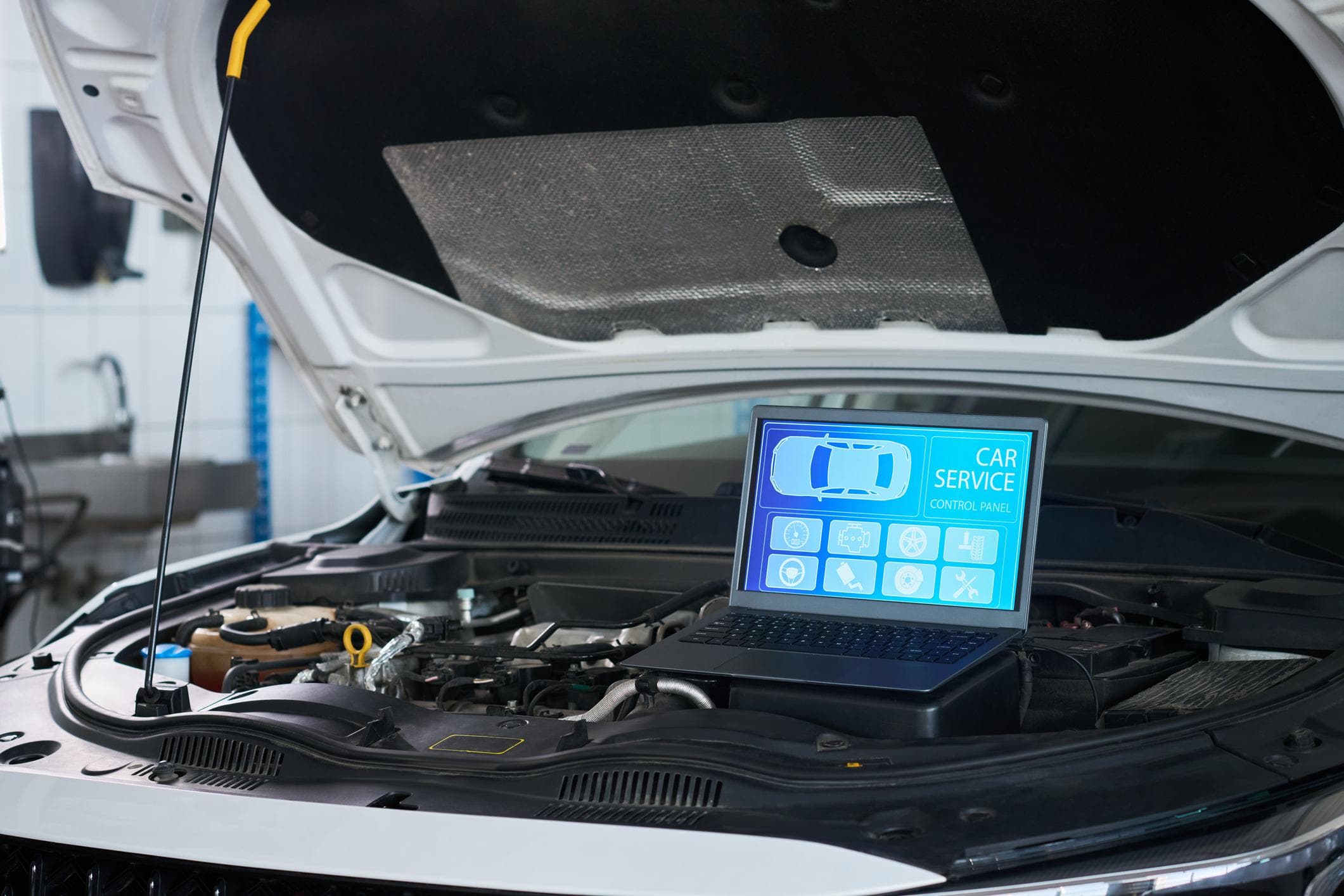 Software & ECU Diagnosis